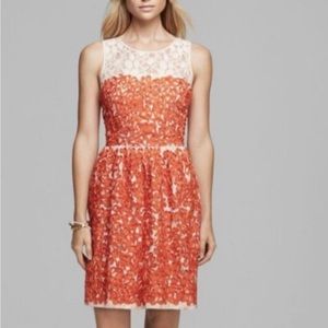 BNWT Trina Turk Camilla Sheath lace and silk dress size 10